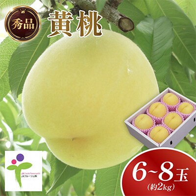 黄金桃(6〜8玉)/80【配送不可地域：離島】【1299729】
