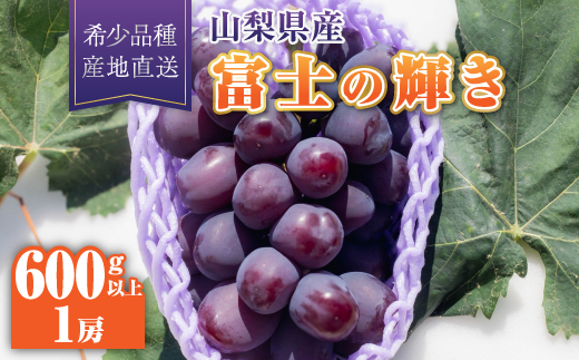 【2026年発送】富士の輝き1房(600g以上)【配送不可地域：離島】【1613562】