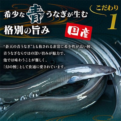 【セット】山梨県産富士山脈の地下水 うなぎの蒲焼[1尾約120g]+刻み蒲焼[約50g×2袋]【配送不可地域：離島】【1728503】
