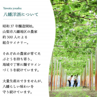 ãæ¯æå®æäŸ¿ã山梚 å
«å¹¡æŽé
çœã¯ã€ã³ èµ€ã¯ã€ã³ é£²ã¿æ¯ã¹ å®æäŸ¿ ã¶ã©ã蟲家å
š3åã4082278ã