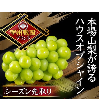 【本場山梨の旬を堪能】今、話題のハウスオブシャインマスカット全国に先駆け2026年6月中旬発送【配送不可地域：離島】【1494995】