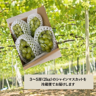 縲2026蟷エ蜈郁。悟女莉倥代d縺ソ縺、縺阪す繝」繧、繝ウ繝槭せ繧ォ繝繝 2kg(3縲5謌ソ)縲宣埼∽ク榊庄蝨ー蝓滂シ夐屬蟲カ縲代1689779縲