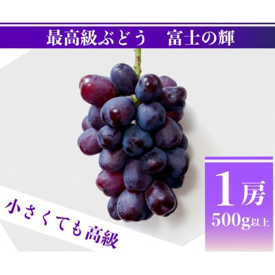 【2026年先行予約】富士の輝 計500g 1房 山梨県産【配送不可地域：離島】【1694815】
