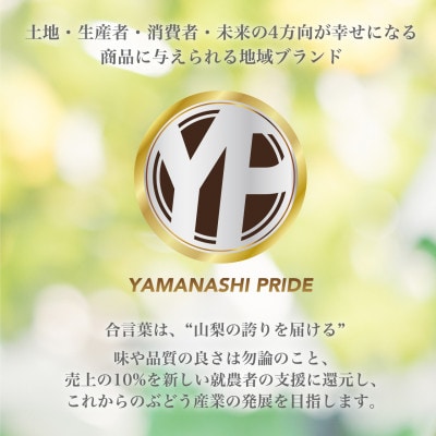 2026年度先行予約 約2kg 完熟 桃 とろける甘み YAMANASHI PRIDE (5〜8玉)【配送不可地域：離島・北海道・沖縄県・中国・四国・九州】【1222000】