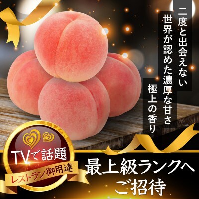 【海外セレブの嗜好品】わずか5%しか許されない糖度16度以上樹上完熟ブランド桃2026年8月中旬発送【配送不可地域：離島・北海道・沖縄県・中国・四国・九州】【1464208】