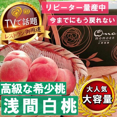 【市場にほぼ出回らない浅間白桃】人気品種指定ギフト5年連続TV出演話題ブランド2026年7月中旬発【配送不可地域：離島・北海道・沖縄県・中国・四国・九州】【1465263】