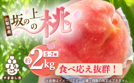 2026年発送【旬の桃 約2kg 5〜7玉】 坂の上の桃 硬くて甘い! 食べ応え抜群!【配送不可地域：離島】【1264617】