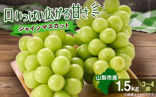 縲2026蟷エ蜈郁。悟女莉倥代d縺ソ縺、縺阪す繝」繧、繝ウ繝槭せ繧ォ繝繝 1.5kg(3縲4謌ソ)縲宣埼∽ク榊庄蝨ー蝓滂シ夐屬蟲カ縲代1304377縲