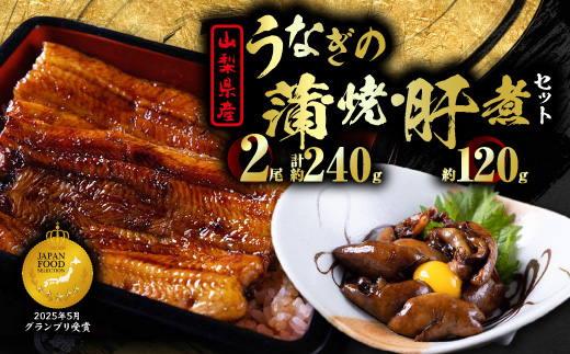 【セット】山梨県産富士山脈の地下水 うなぎの蒲焼[2尾約240g]+肝煮[約60g×2袋]【配送不可地域：離島】【1728511】