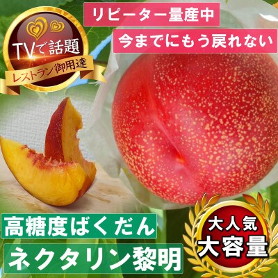 《高糖度ばくだんネクタリン黎明》桃グランプリ日本一受賞&5年連続TV出演で話題2026年7月中旬発送【配送不可地域：離島・北海道・沖縄県・中国・四国・九州】【1465189】