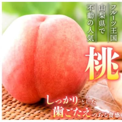 【発送月固定定期便】桃3玉(1kg)　シャインマスカット1房(500g以上)全2回【配送不可地域：離島】【4067604】