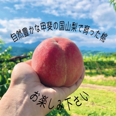 æåŸã®å®çæ¡ããã¯ã€ã©ã€ãããŒããçŽ1.5kg(3ã6ç)ãé
éäžå¯å°åïŒé¢å³¶ã»æ²çžçãã1423456ã