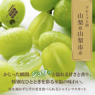 【先行受付2026年発送】 シャインマスカット 2〜3房(計約1.2kg)【訳あり】【配送不可地域：離島・沖縄県】【1567960】