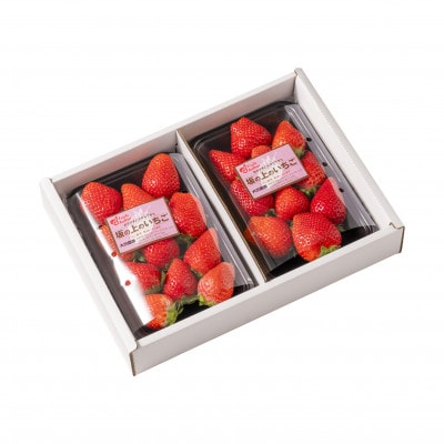 山梨県産坂の上のいちご280g×2【配送不可地域：離島】【1367897】