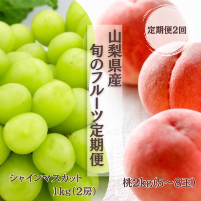 【発送月固定定期便】【2026年先行受付】旬のフルーツ定期便　桃2kg・シャインマスカット全2回【配送不可地域：離島】【4076701】