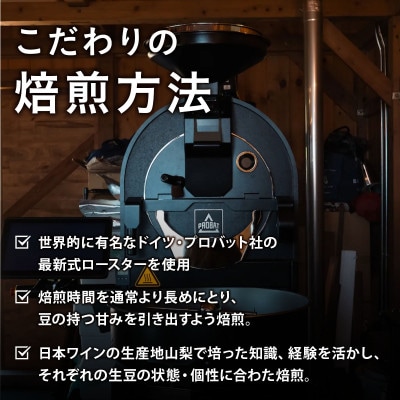 自家焙煎スペシャルティコーヒー豆 店主おすすめ3種 計300g【1653005】