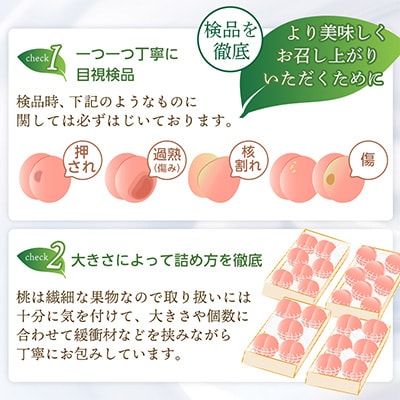 【2026年発送 先行受付】山梨厳選旬の桃 約1kg(3〜4玉)【配送不可地域：離島】【1542058】