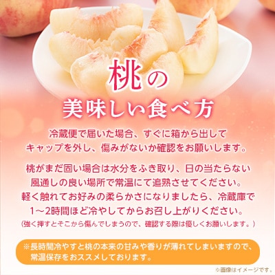 【2026年発送 先行受付】山梨厳選旬の桃 約1kg(3〜4玉)【配送不可地域：離島】【1542058】