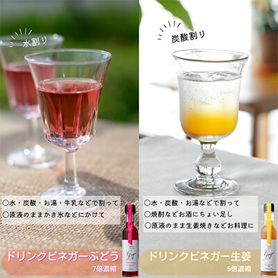 【蔵元直送】プロ御用達!ワインビネガー・バラエティ5本セット〜調味料&飲む酢〜 世界農業遺産認定地域【1115097】