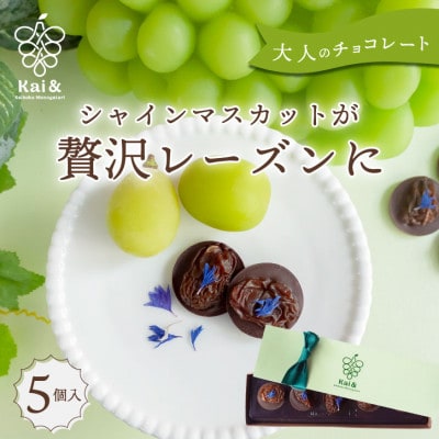 シャインマスカットレーズンのチョコレートマンディアン 5個入 山梨県産シャインマスカット使用【1694883】