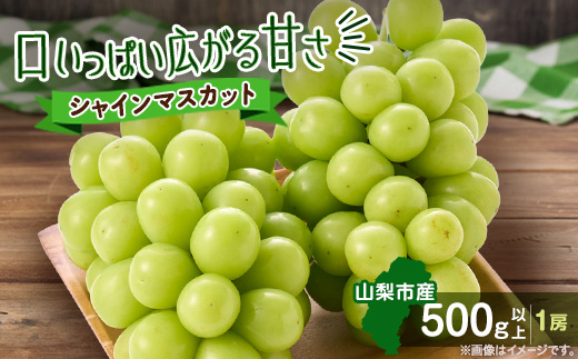 縲2026蟷エ蜈郁。悟女莉倥代d縺ソ縺、縺阪す繝」繧、繝ウ繝槭せ繧ォ繝繝 500g莉・荳(1謌ソ)縲宣埼∽ク榊庄蝨ー蝓滂シ夐屬蟲カ縲代1551175縲