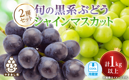 【2026年発送 先行受付】山梨産シャインマスカットと黒系葡萄2色セット【配送不可地域：離島】【1564591】