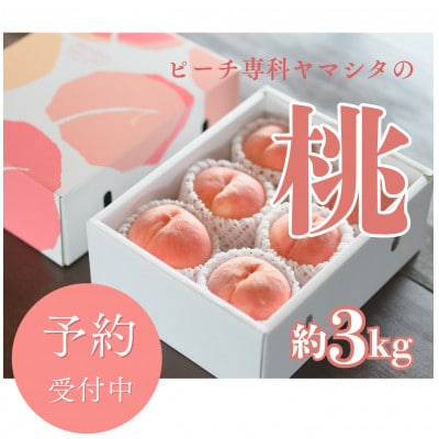 先行受付!【2026年7月発送開始】桃の産地山梨からお届け　ピーチ専科ヤマシタの桃　3kg【配送不可地域：離島】【1707806】