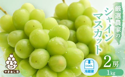 縲2026蟷エ逋コ騾 蜈郁。悟女莉倥代す繝」繧、繝ウ繝槭せ繧ォ繝繝医2謌ソ 1kg縲宣埼∽ク榊庄蝨ー蝓滂シ夐屬蟲カ縲代1565519縲