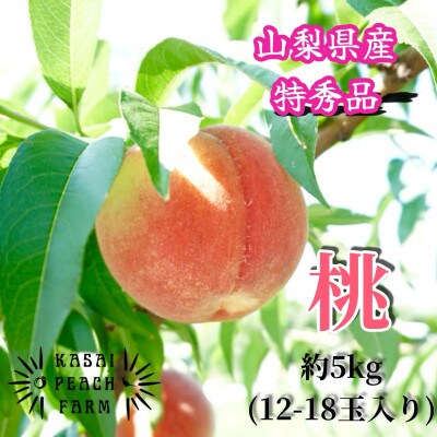 ã2026幎çºéå
è¡åä»ãå³éžææ¡ãæ¡ å±±æ¢šã®ç¬ äºæ¡åã®æ¡ çŽ5kgãé
éäžå¯å°åïŒé¢å³¶ãã1587434ã