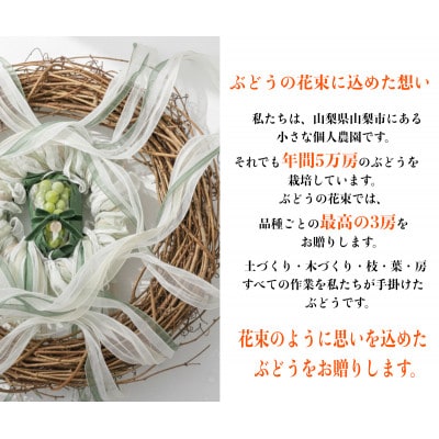 ã2026幎å
è¡äºçŽããµã³ã·ã£ã€ã³ã¬ãã å¯å£«ã®èŒ ã·ã£ã€ã³ãã¹ã«ãã 2kg 3æ¿(å1æ¿)ãé
éäžå¯å°åïŒé¢å³¶ãã1694811ã