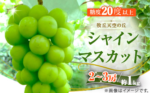 【2026年発送】9月下旬発送「牧丘天空の丘シャインマスカット」 約1kg(2〜3房)【配送不可地域：離島・沖縄県】【1473176】