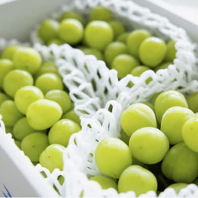 ã2026幎å
è¡åä»ããèš³ããã山梚åžç£ã·ã£ã€ã³ãã¹ã«ãã2kg以äž(3ã6æ¿)ãé
éäžå¯å°åïŒé¢å³¶ã»æ²çžçãã1413177ã