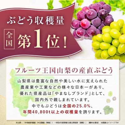 【2026年発送】大人気!シャインマスカット秀 1.2kg(2〜3房)【配送不可地域：離島】【1442579】