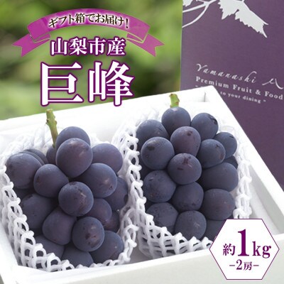 〈2026年先行予約〉濃厚な味わいが特徴!「山梨県山梨市産の巨峰 2房 約1kg」【配送不可地域：離島・沖縄県】【1513024】
