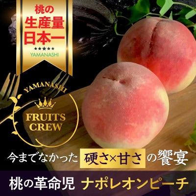 【8月上旬より順次発送】硬さ×甘さの饗宴 希少なナポレオンピーチ今回逃すと1年待ち【配送不可地域：離島・北海道・沖縄県・中国・四国・九州】【1424185】