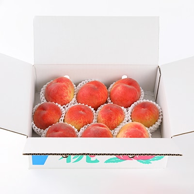 2026年 先行受付【訳あり】桃 約3kg (7玉〜13玉) 山梨市産 桃【配送不可地域：離島・沖縄県】【1395537】