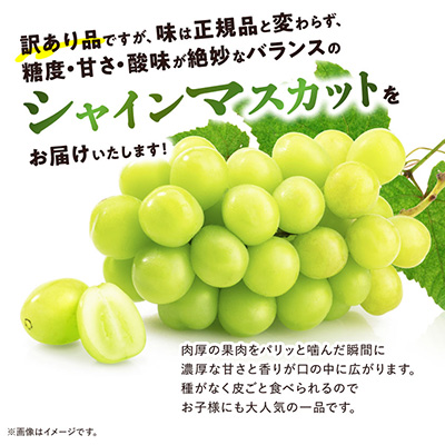 ãèš³ããã æ± ç°éæã®ã·ã£ã€ã³ãã¹ã«ãã2æ¿ã3æ¿ã1kg ãµãããšçŽçšãé
éäžå¯å°åïŒé¢å³¶ãã1544089ã