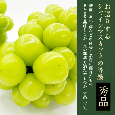 【2026年発送】大人気!シャインマスカット秀 1.2kg(2〜3房)【配送不可地域：離島】【1442579】
