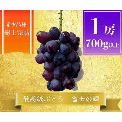 【2026年先行予約】富士の輝 計700g 1房　山梨県産【配送不可地域：離島】【1694813】
