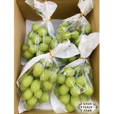 【2026年発送】訳あり シャインマスカット 3〜4房 1.5kg以上【配送不可地域：離島】【1732302】