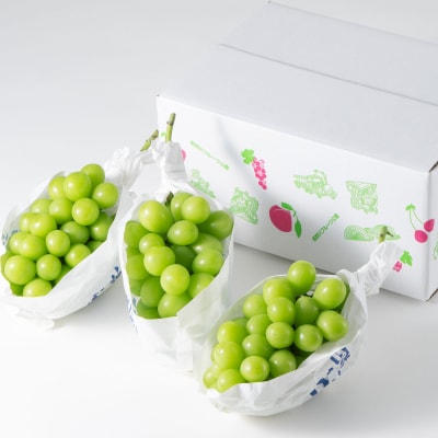 ã2026幎å
è¡åä»ã山梚åžç£ãã·ã£ã€ã³ãã¹ã«ãã(çš®ãªã)ã çŽ1.5kg (çŽ500gÃ3æ¿)ãé
éäžå¯å°åïŒé¢å³¶ã»æ²çžçãã1117303ã