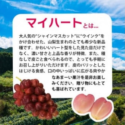 ã2026幎9æäžæ¬ããçºéäºå®ããã€ããŒã1æ¿ 500gä»¥äž ããŒã圢ã®ããããè¡èãé
éäžå¯å°åïŒé¢å³¶ãã1613666ã