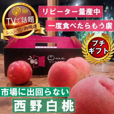 【市場に出回らないレアな西野白桃】人気品種指定ギフト5年連続TV出演話題ブランド2026年7月中旬発【配送不可地域：離島・北海道・沖縄県・中国・四国・九州】【1465267】