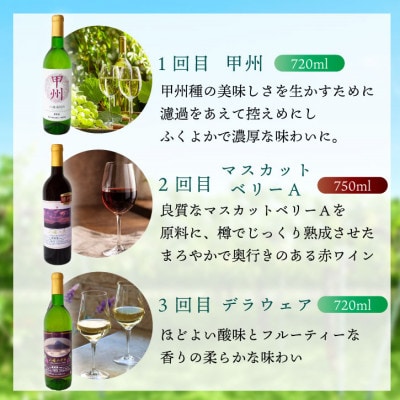 ãæ¯æå®æäŸ¿ã山梚 å
«å¹¡æŽé
çœã¯ã€ã³ èµ€ã¯ã€ã³ é£²ã¿æ¯ã¹ å®æäŸ¿ ã¶ã©ã蟲家å
š3åã4082278ã