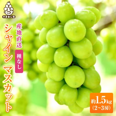 2026年先行販売　銀河農園まきおかのシャインマスカット(種なし)約1.5kg(2〜3房)【配送不可地域：離島】【1111662】