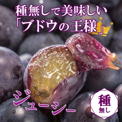 〈2026年先行予約〉濃厚な味わいが特徴!「山梨県山梨市産の巨峰 2房 約1kg」【配送不可地域：離島・沖縄県】【1513024】
