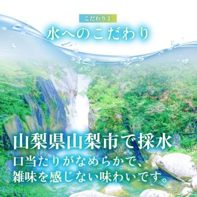 【毎月定期便】サーフ　VOLT(ボルト)強炭酸水1L×12本　1ケース　国産炭酸水全6回【4050651】