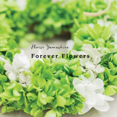 プリザーブドフラワー 紫陽花 グリーン リース【1271162】
