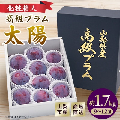 2026年 先行受付山梨市産プラム　太陽　約1.7kg(9〜12玉)【配送不可地域：離島・沖縄県】【1431878】