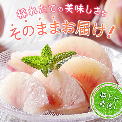 【2026年先行受付】訳あり!桃 3kg前後【配送不可地域：離島・沖縄県】【1419386】